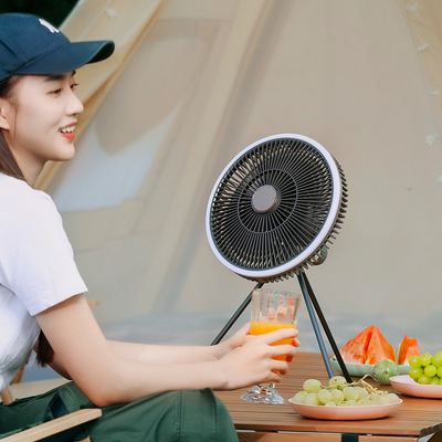 I fan stanti 5W 10000mAh del pavimento ricaricabile hanno condotto il telecomando leggero del fan