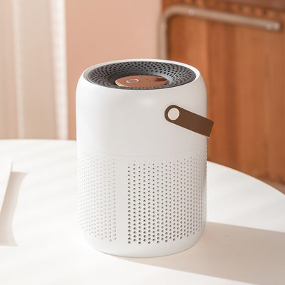 Purificatore d'aria plug-in con filtro HEPA H13 e modalità automatiche/manuali