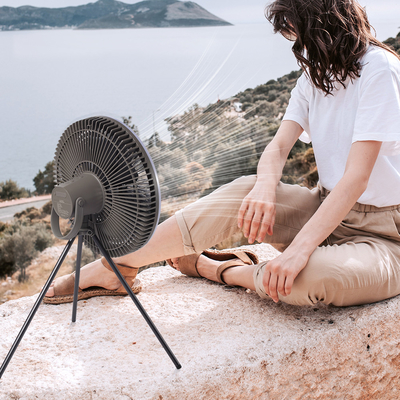 Batteria 10000mAh Ricaricabile Ventilatore da tavolo Lanterna LED da 12 pollici Luce per tenda Fan