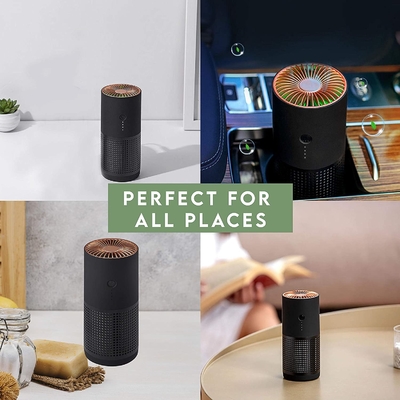 Fumo negativo di allergie del polline di H13 H12 HEPA Ion Portable Air Purifier For