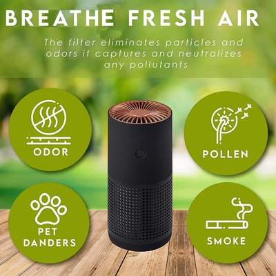 Fumo negativo di allergie del polline di H13 H12 HEPA Ion Portable Air Purifier For