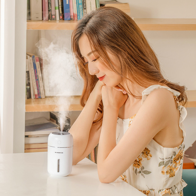 Il diffusore ultrasonico dell'aroma della casa di USB ha condotto l'umidificatore bianco portatile leggero dell'aria