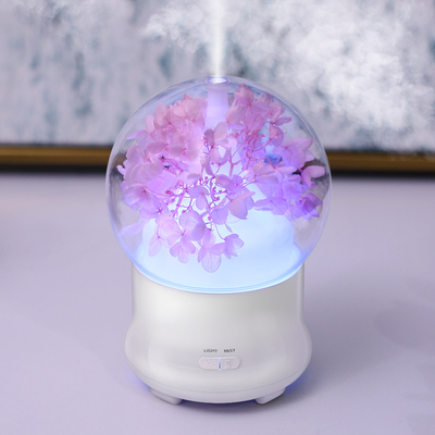Umidificatore fresco dell'aria della foschia dell'aroma dell'olio di capacità ultrasonica portatile del diffusore 100ml