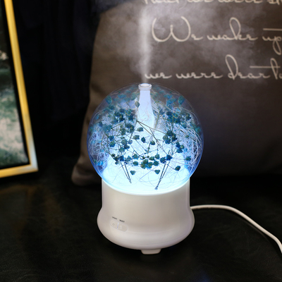 Umidificatore fresco dell'aria della foschia dell'aroma dell'olio di capacità ultrasonica portatile del diffusore 100ml